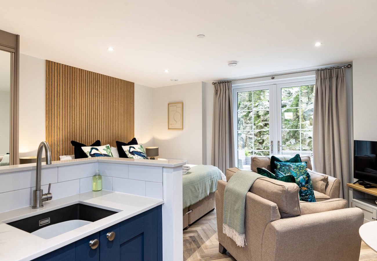 Image showing the combined living and sleeping inside Rock Mill Studio Apartment 9