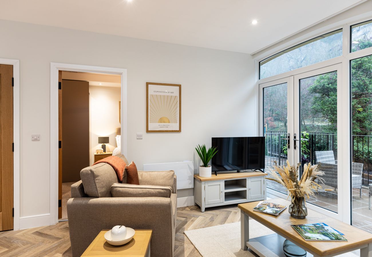 Image showing the living area with smart TV inside Rock Mill Apartment 4