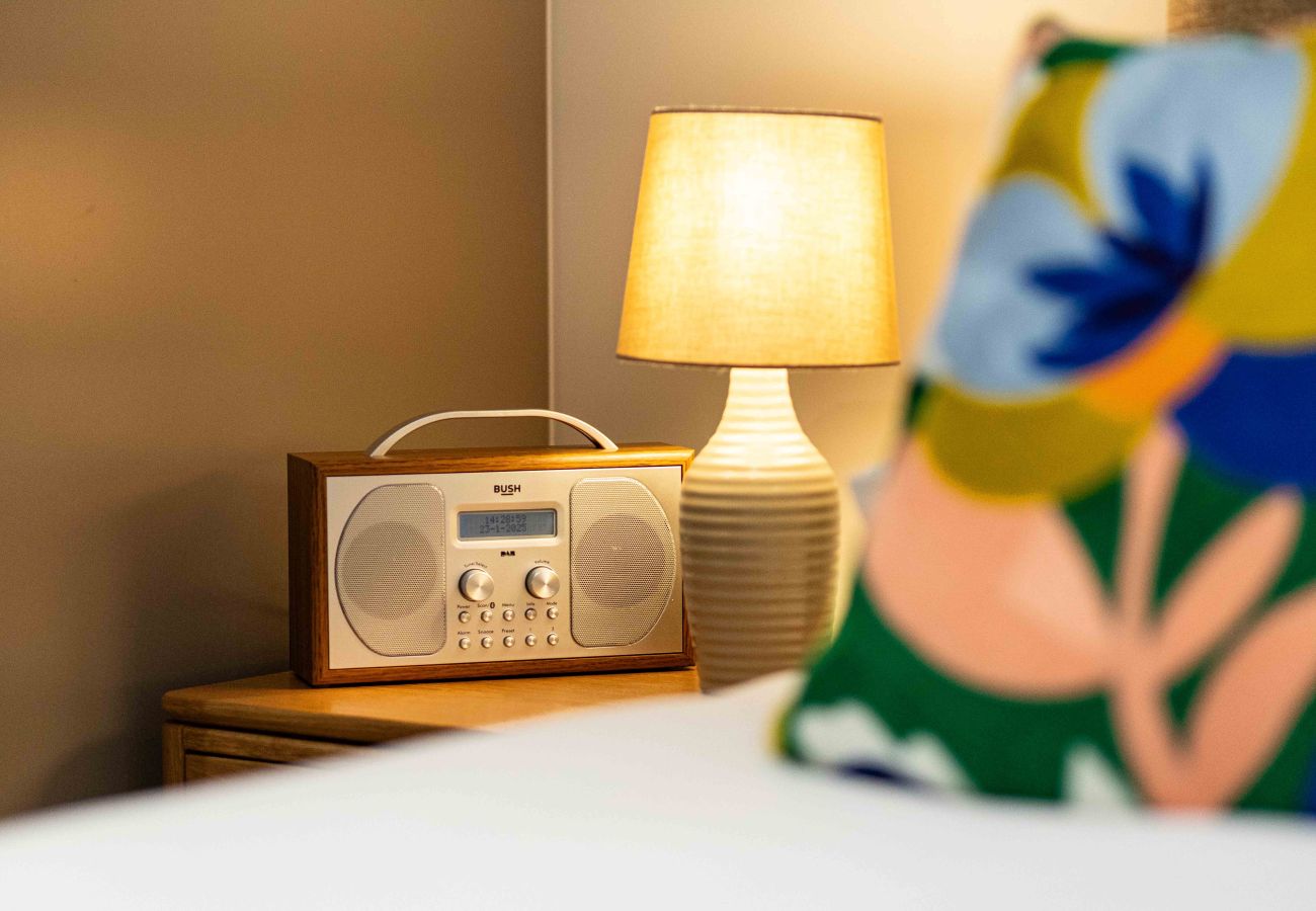 Image showing the bush dab radio inside one bedroom Rock Mill Apartment 7