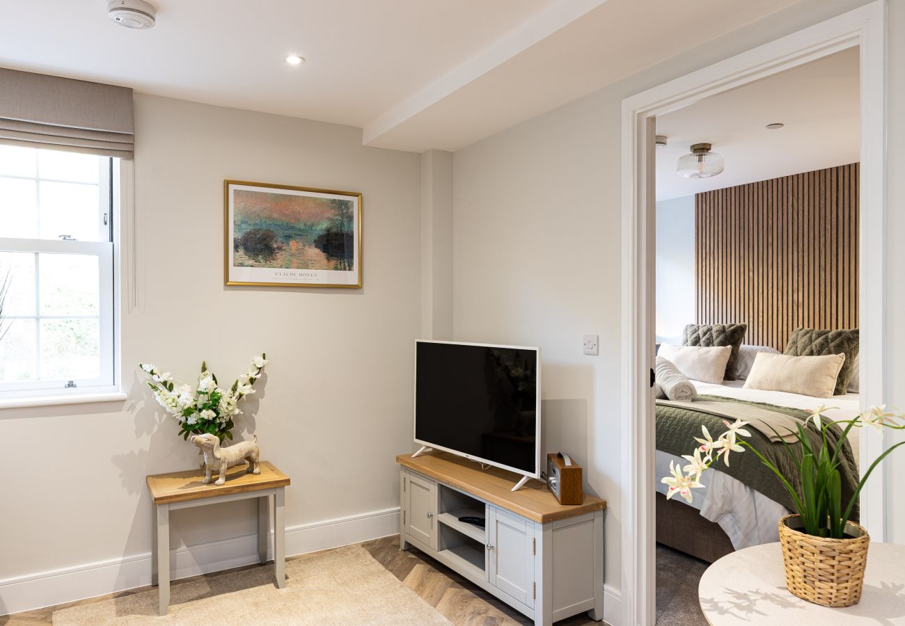 Image showing the living area with smart TV inside rock mill apartment 15