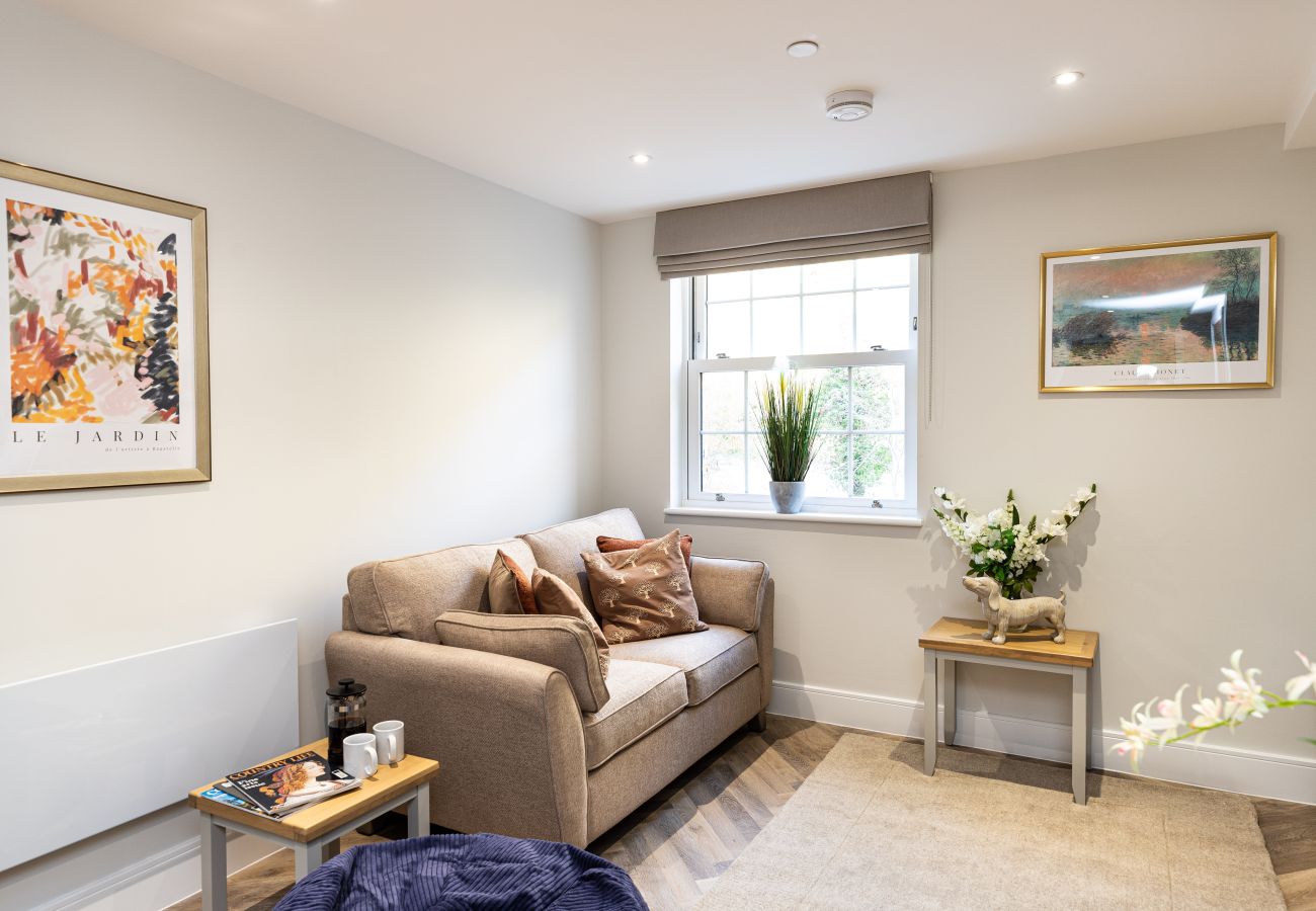 Image showing the living area with comfy seating inside apartment 15 at rock mill