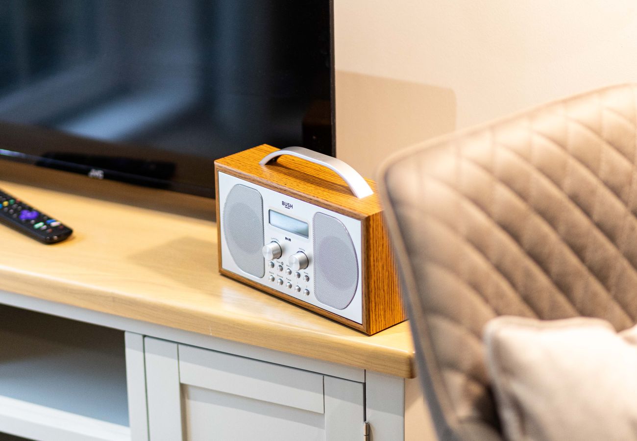 Image showing the bush dab radio inside rock mill duplex apartment 42