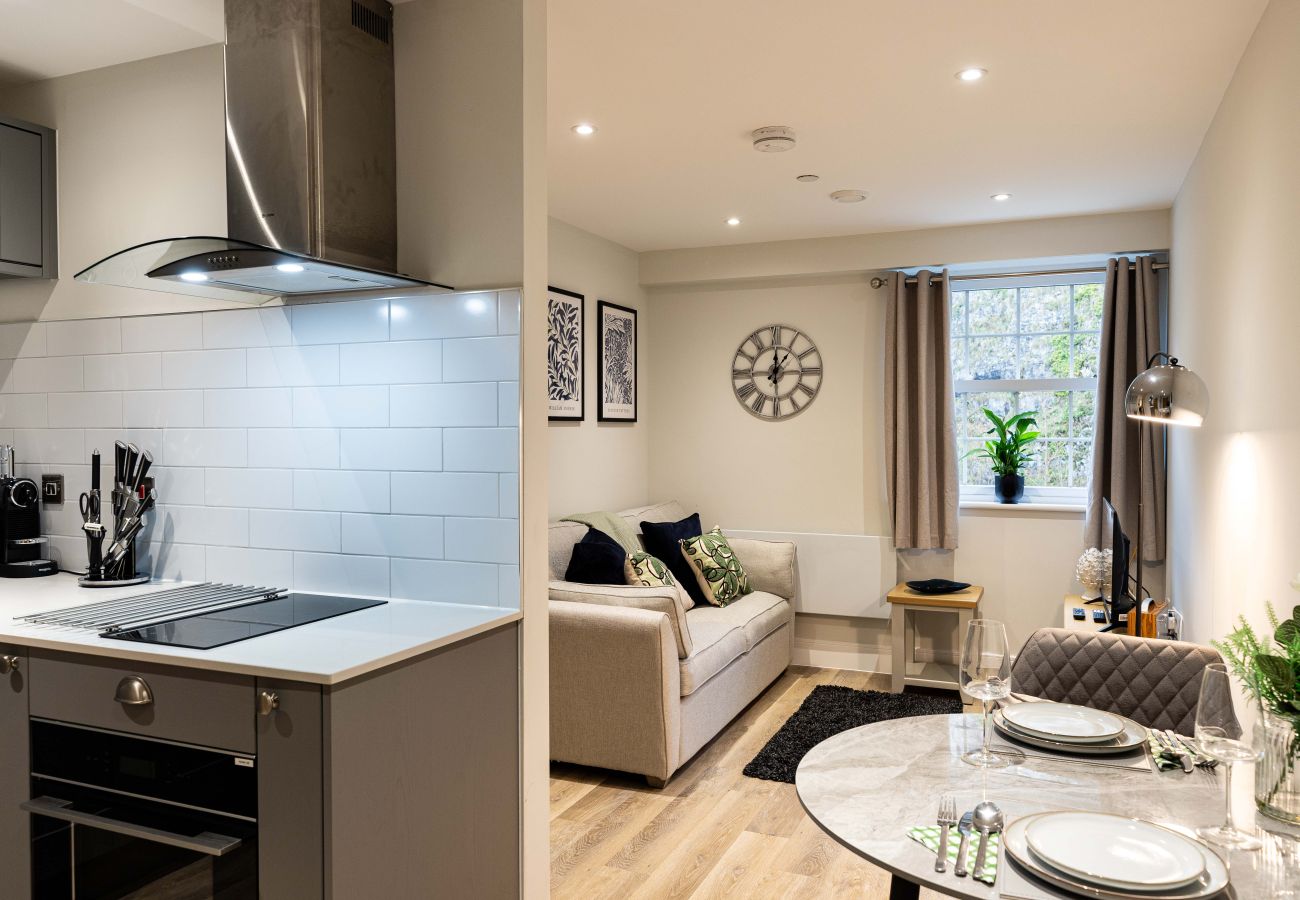 Image of the 1 bed rock mill luxury holiday apartment 37