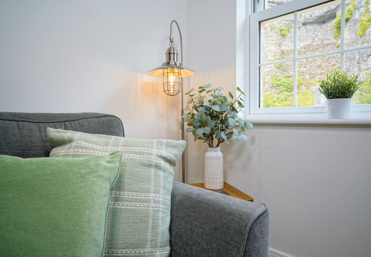 Image showing the comfy living room area inside Apartment 36 at Rock Mill